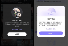 青少年模式；遍及将这类AI聊天软件划为AI感情陪
